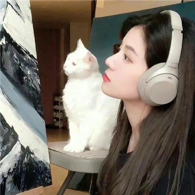 蛊惑狗寻宝